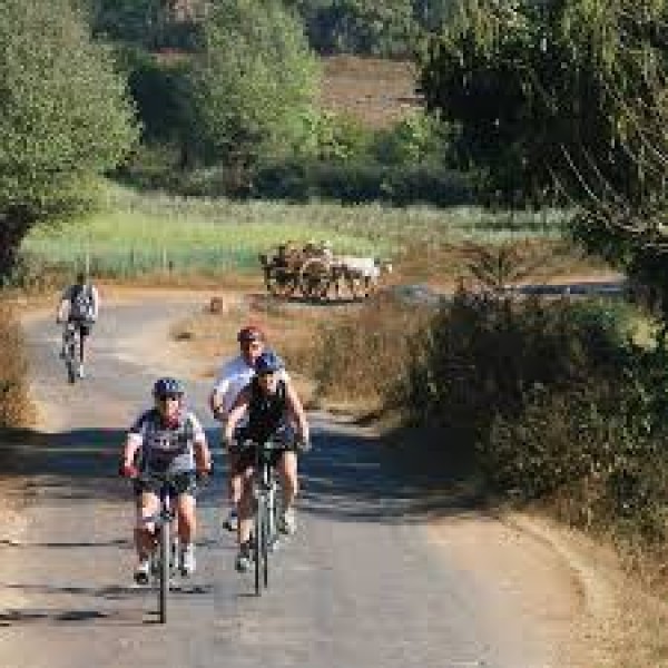 Cycling In Munnar 